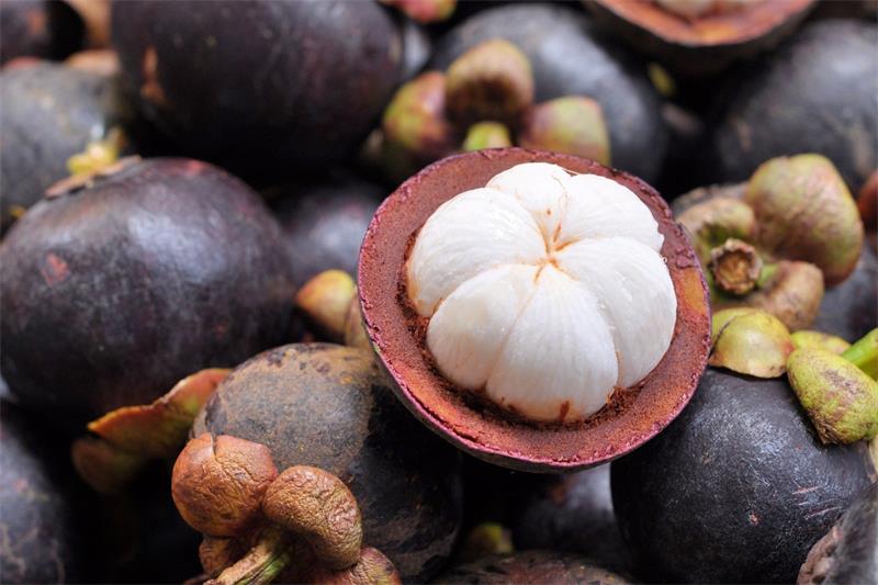 The Most Exotic Fruits You Can Find in Southeast Asia