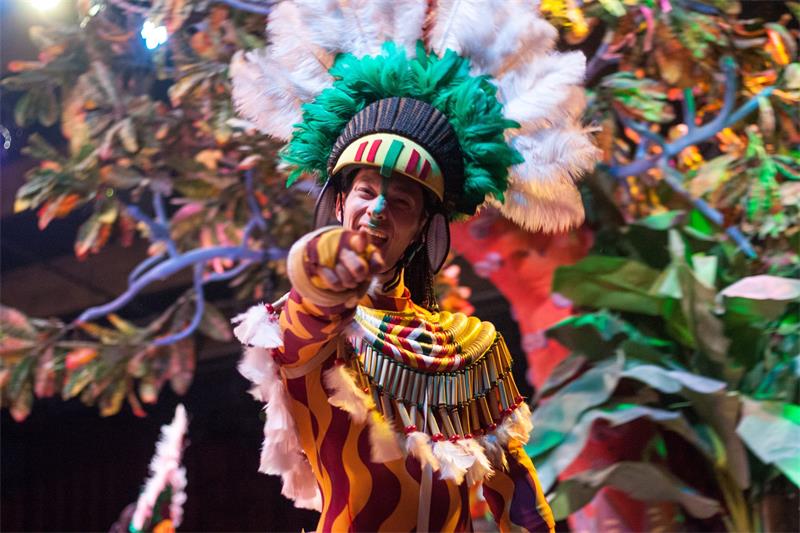 The Ultimate Guide to Celebrating Carnival in Rio de Janeiro