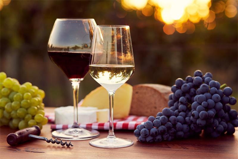 The Ultimate Guide to Wine Tasting in Tuscany