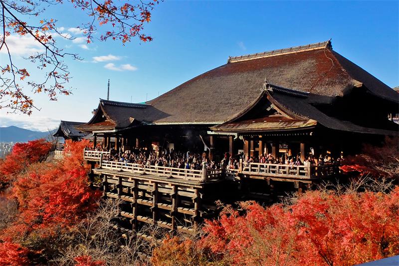 Visiting the Sacred Temples of Kyoto, Japan