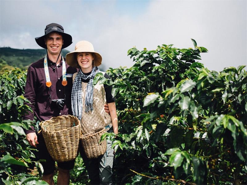 Why You Should Visit a Coffee Farm in Colombia